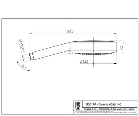 Лейка душевая Bossini Dinamica B00170